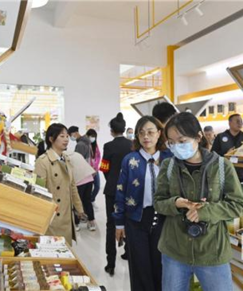 东北医药涨停最新消息，今日走势及市场反应