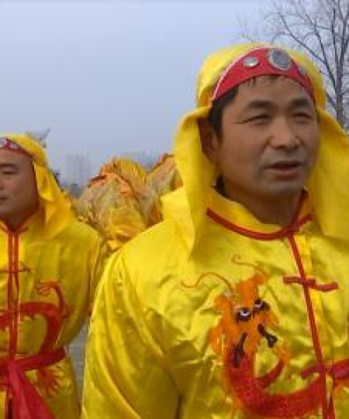 周口驴苗价格行情最新消息