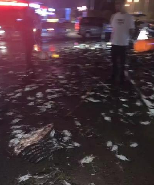 ​​温州厢式车出租公司排名