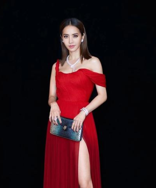 刘媛媛演讲励志语录，奋斗与坚持的力量