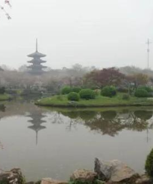 世界最小鱼塘排名