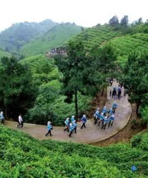 都匀露营基地前十名排名，探索最佳露营胜地