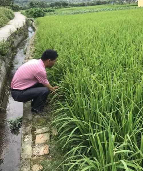 级别高的保险公司排名