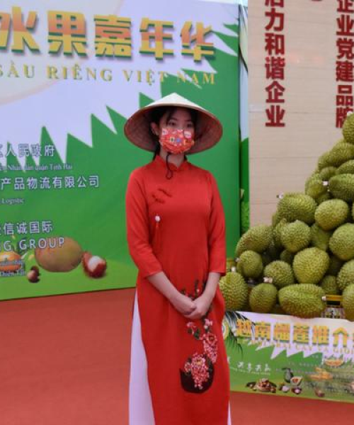 天津今日蔬菜最新价格