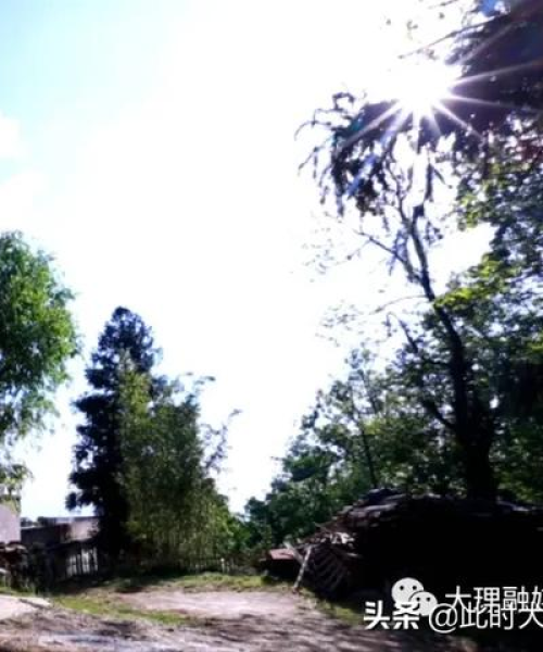 静心语录励志，致自己前行之路