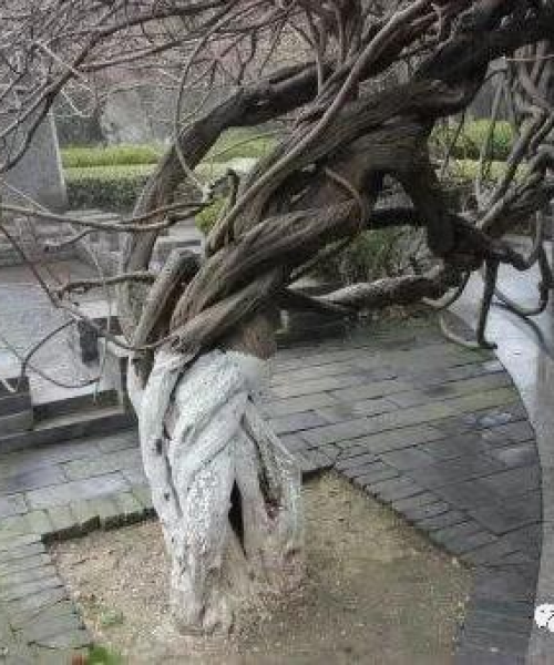 进贤县状元风采，排名前十的才子佳人