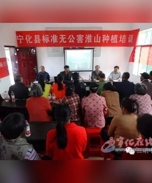 深圳宁化新闻头条——科技创新引领产业新突破