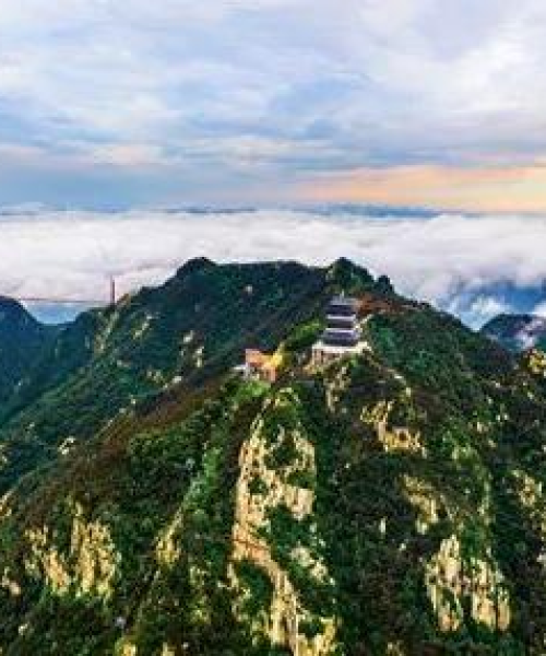 全世界最大森林排名