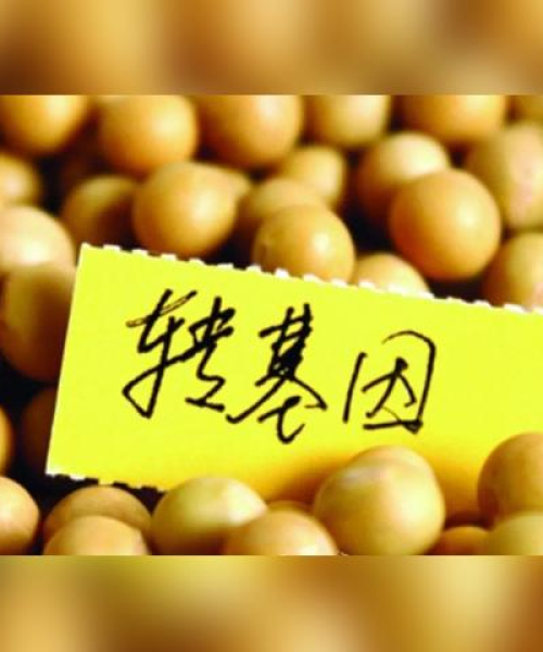 全球最大转基因公司排名前十