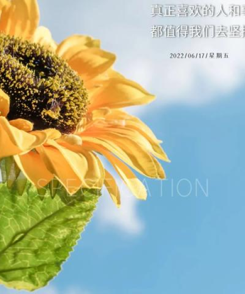 励志语录壁纸，图案与文案的完美结合