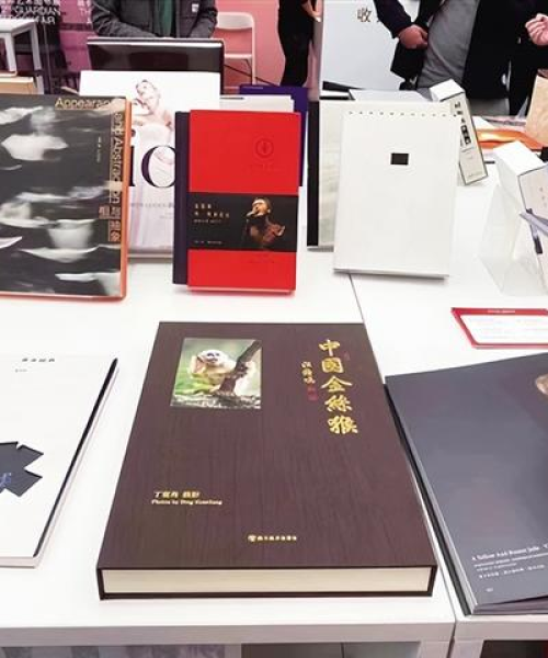 呼和浩特艺术培训优惠政策最新动态