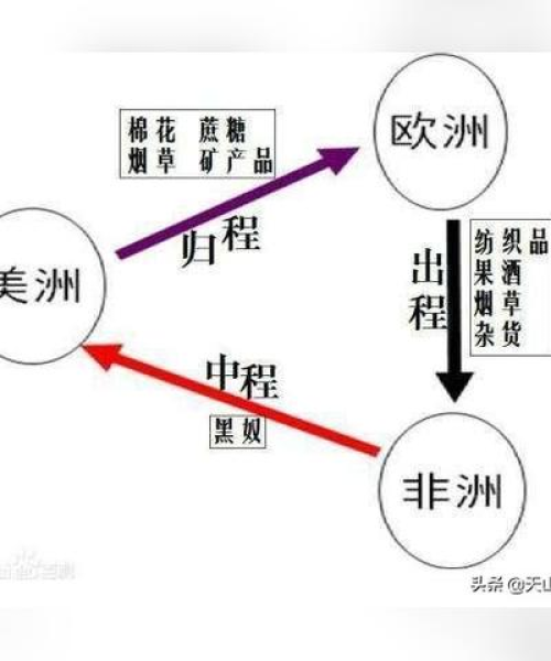 英国棉花著作排名前十名及其影响力分析