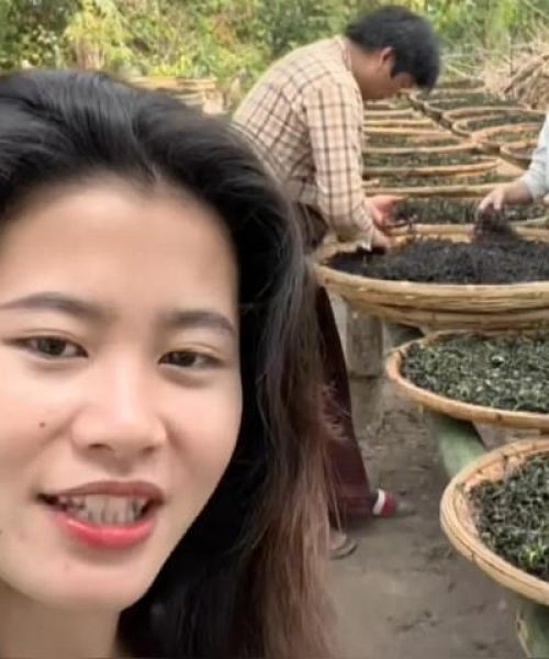 河南省茶叶产地排名前十名