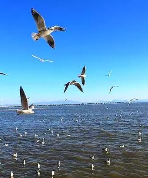 今日揭秘，云南旅游攻略最新消息