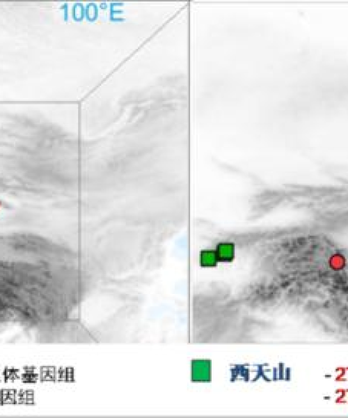 新疆专著公司排名