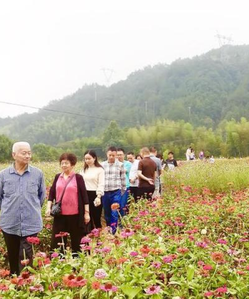 景宁民宿排名前十名，绝美住宿体验不容错过