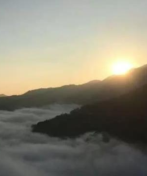最新攻略
