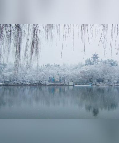 最新发布，我的世界种子雪地地图，探索冬日奇幻世界！