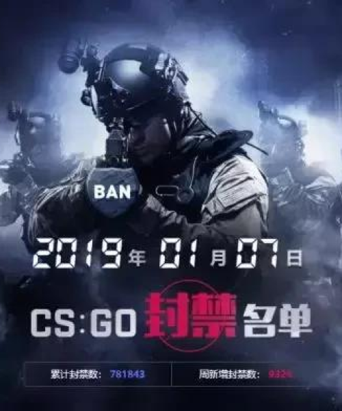 项目动态 第17页