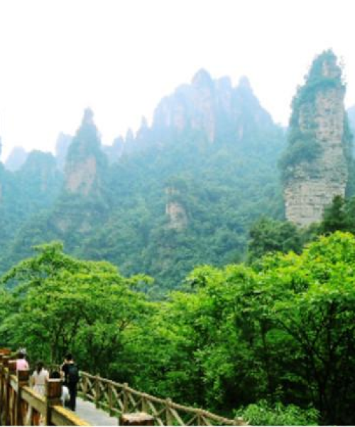 长沙晚餐公司排名