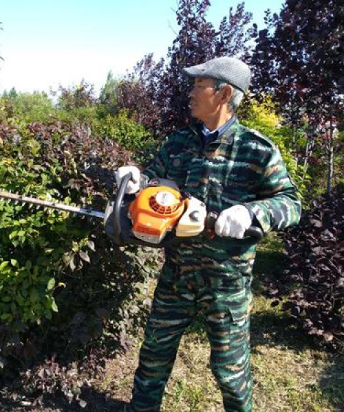 前锋农场新闻头条——现代化农业的新里程碑