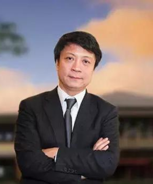 最新项目展示，销售数据及市场反馈