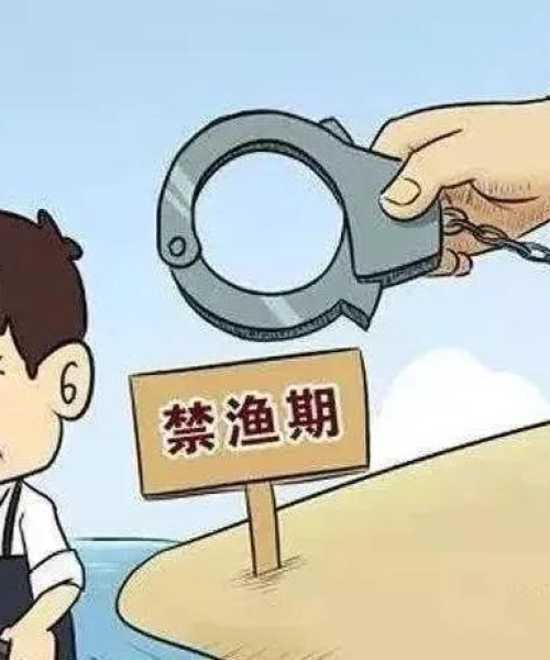 定期评估投资组合的必要性，实现资产增值的关键环节