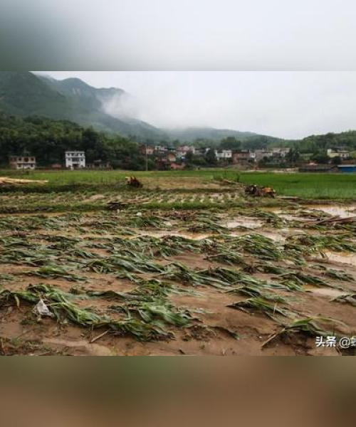 河南楼盘均价数据对比，深度剖析市场走势