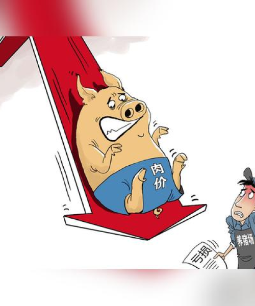房地产市场供需分析，2024年新增房源供应量增长20%，精准满足市场需求