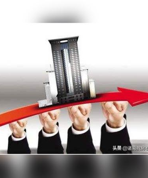 房地产政策对项目市场的影响