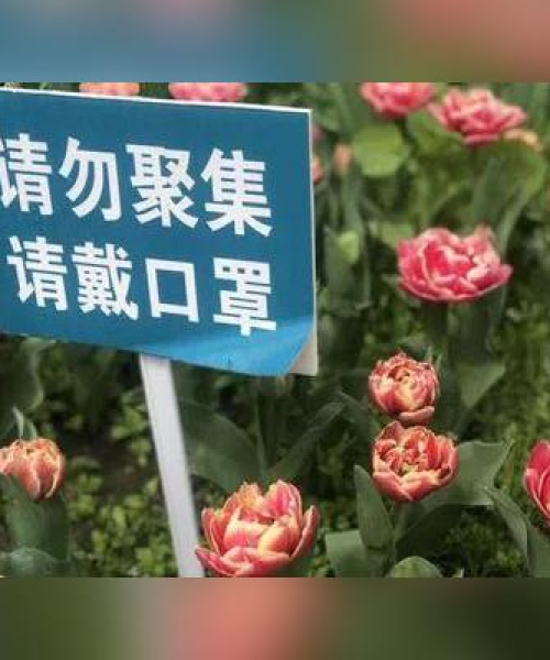 在建项目巡查，东湖小区最新进展